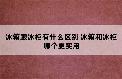 冰箱跟冰柜有什么区别 冰箱和冰柜哪个更实用